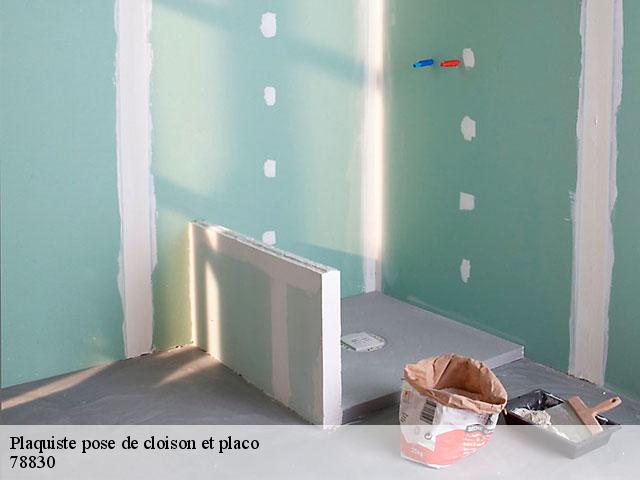 Plaquiste pose de cloison et placo 78830