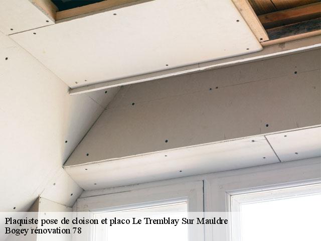 Plaquiste pose de cloison et placo 78490