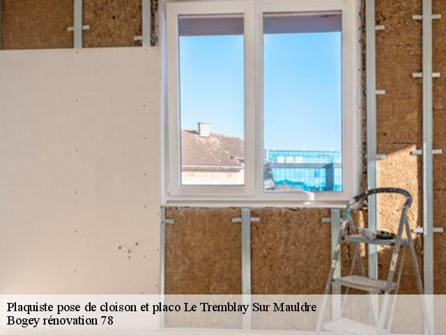 Plaquiste pose de cloison et placo le-tremblay-sur-mauldre-78490 Bogey rénovation 78
