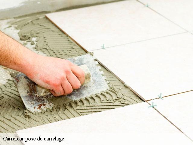 Carreleur pose de carrelage 78840