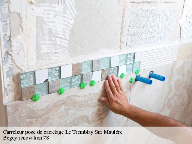 Carreleur pose de carrelage 78490